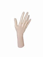 D3.hands Манекен женской руки, пластик
