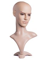 GMM1 Голова мужская на подставке