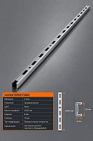 101A1* Vertikal Профиль перфорированный узкий L=2400мм
