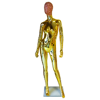 3041 metal head Манекен женский глянцевый с металлической головой